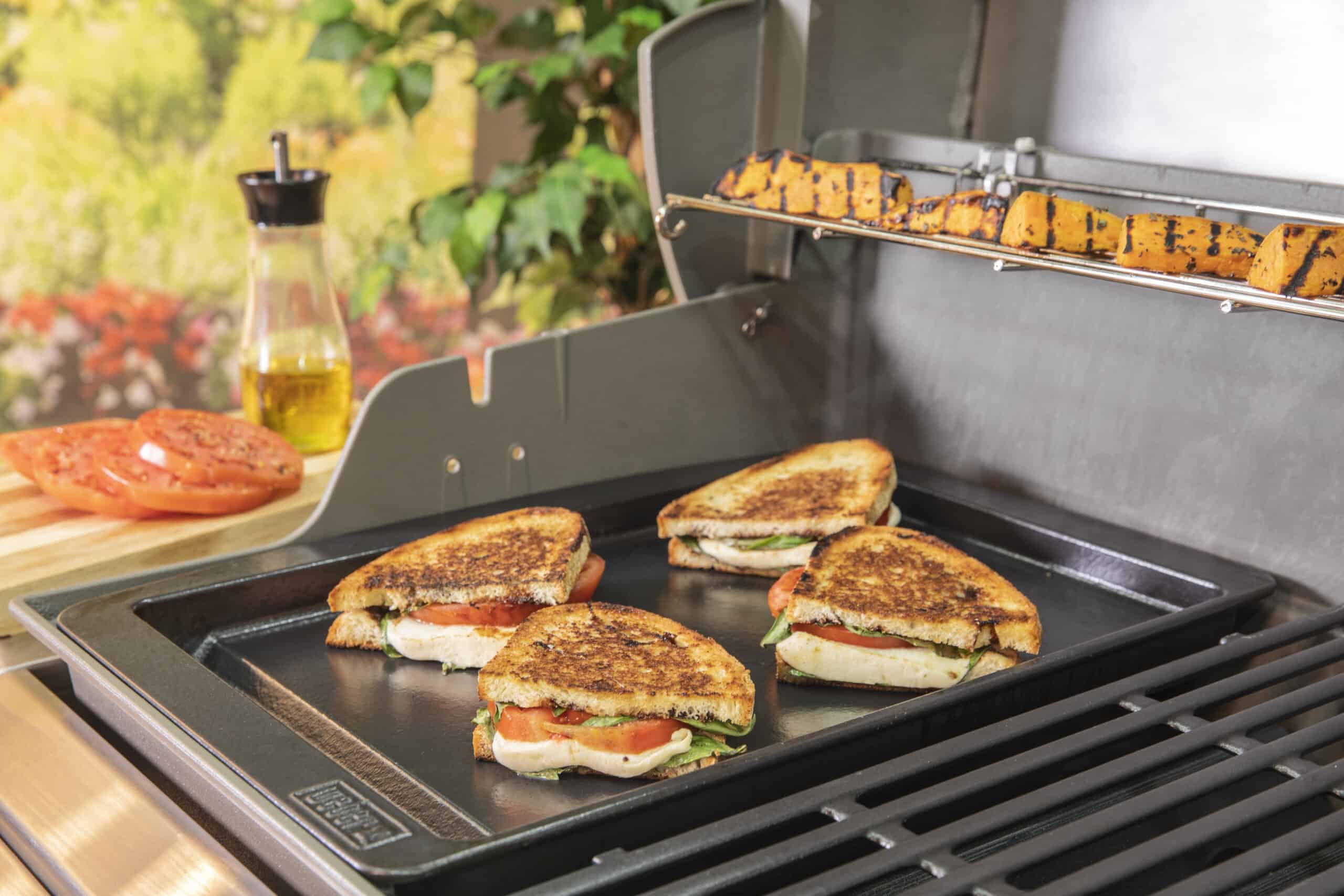 גריל גז Weber Spirit EFT 210